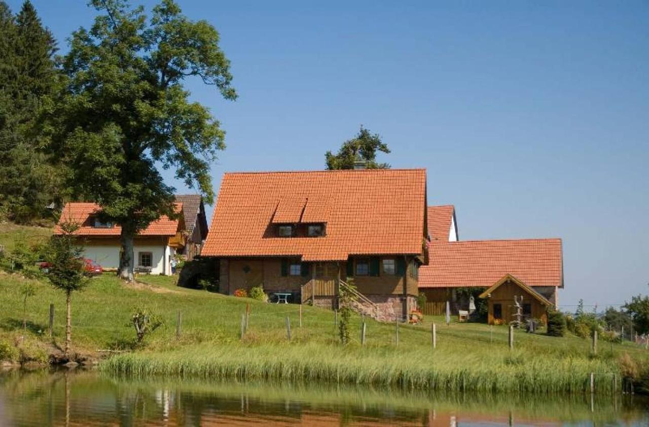 Ferienhof Kienbronnerhof ชิลท์อัค ภายนอก รูปภาพ